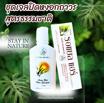 รอแยลแฮร์ชุดเจลปิดหงอกถาวร by Phannakorn